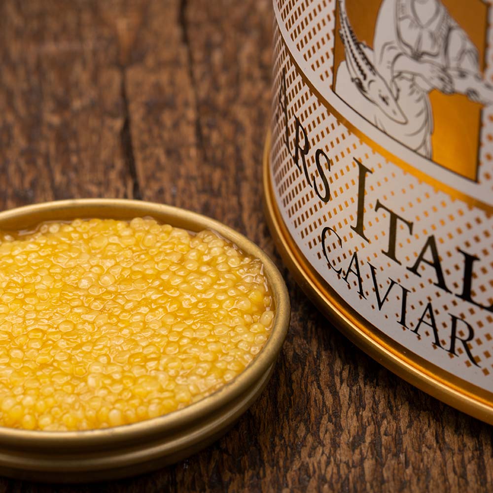 albiino-sterleti-kaaviar-3