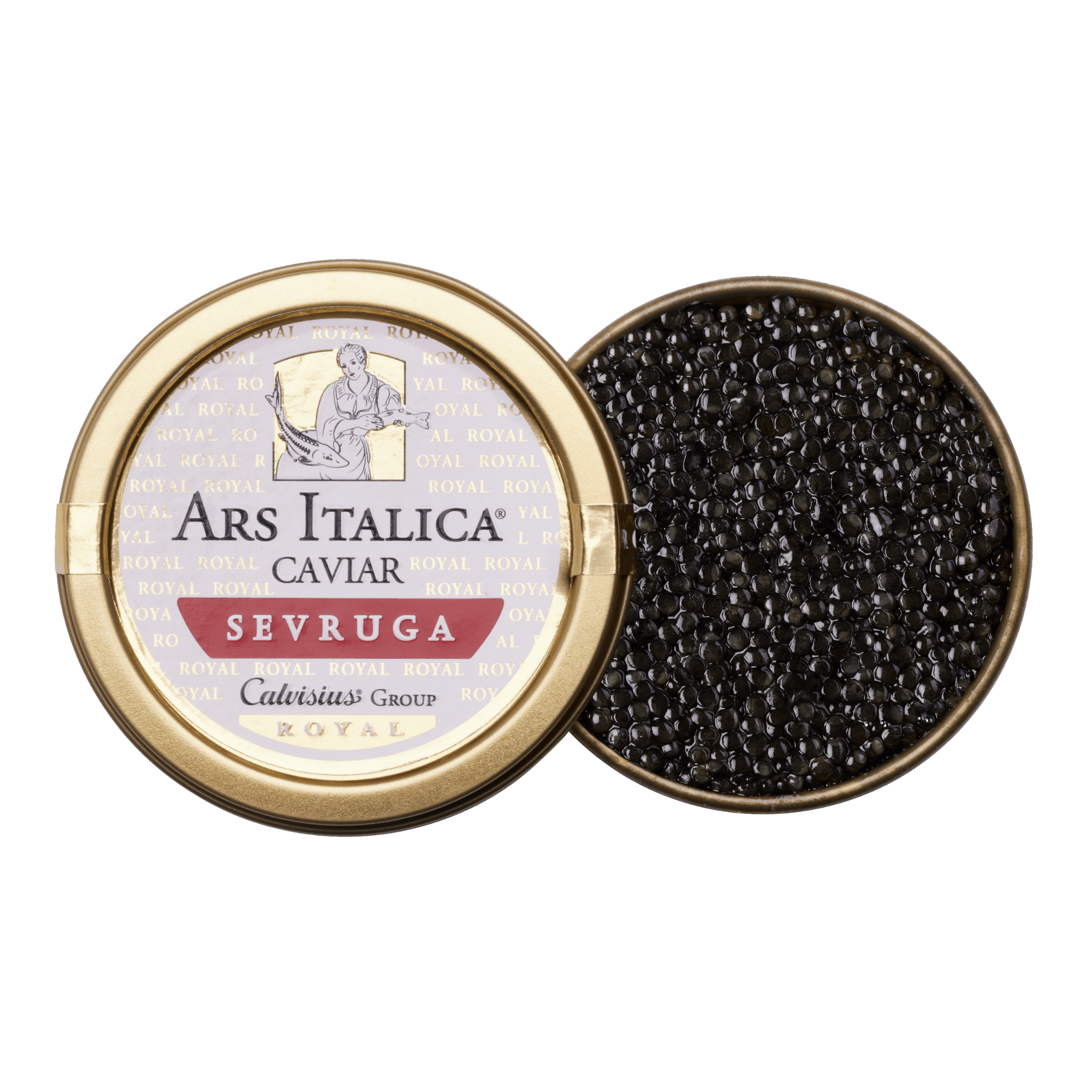 sevruga-royal-2